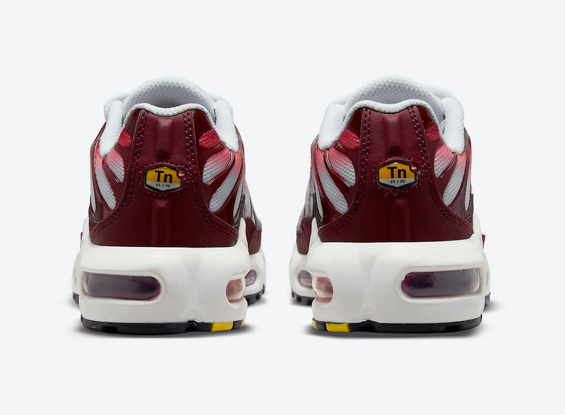 Baskets nike air max plus tn Blue White