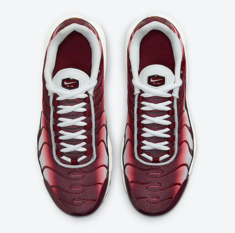 Baskets nike air max plus tn Blue White