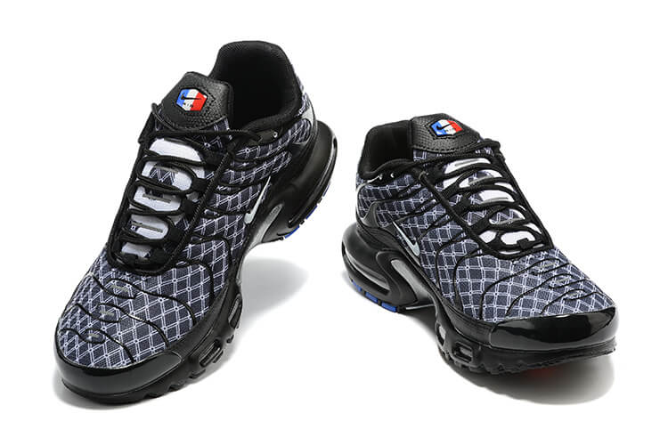 Achetez les Nike Air Max Plus TN France pour homme. Édition tricolore hommage aux Bleus, mesh technique & Tuned Air. Livraison rapide  & 100% neuf certifié.